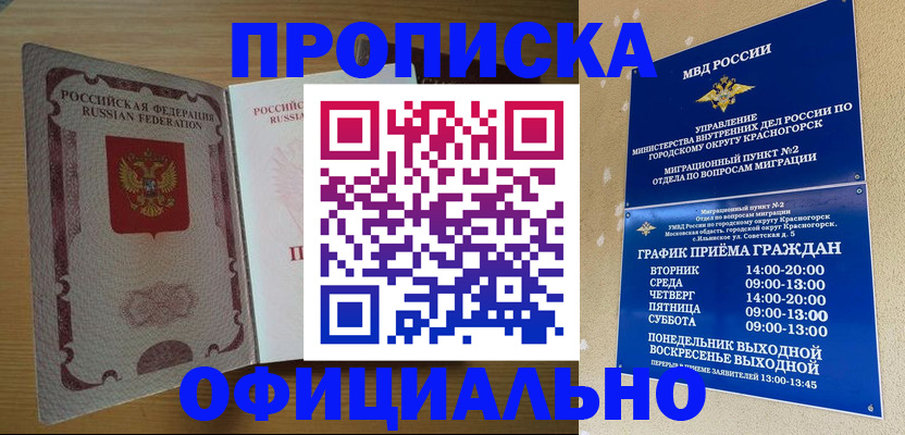 временная регистрация купить в Большом Камне